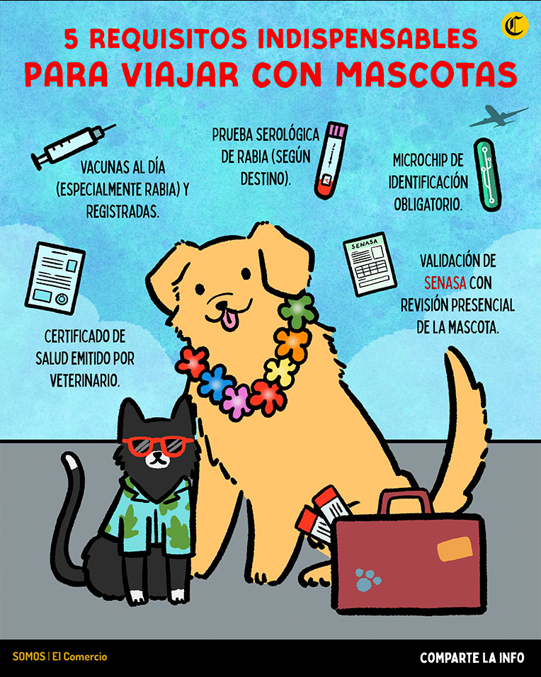 11 libros imprescindibles para llevar a la playa