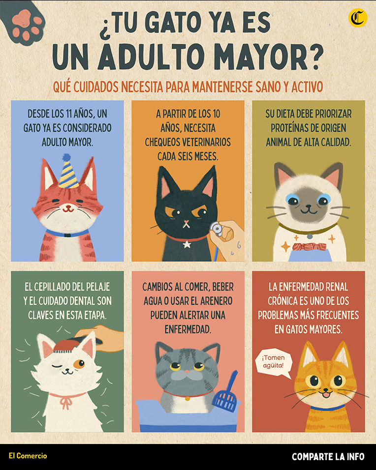11 libros imprescindibles para llevar a la playa